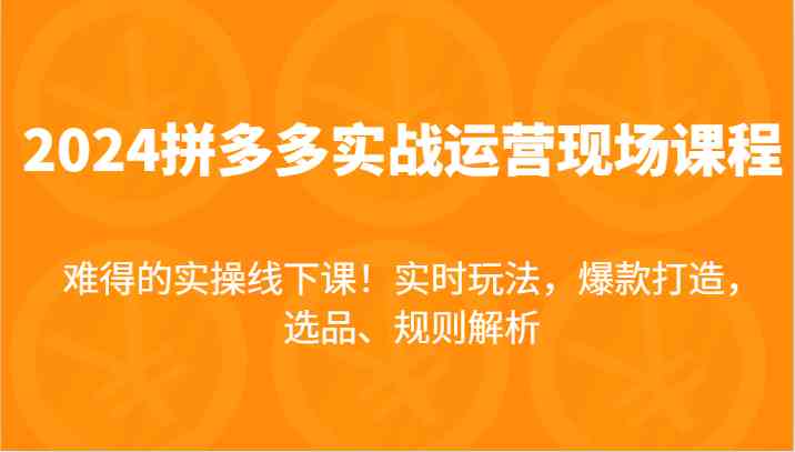 2024 拼多多实战运营现场课，涵盖实时玩法、爆款打造，还有选品与规则解析，这可是难得的实操线下课程！ - 格调资源网