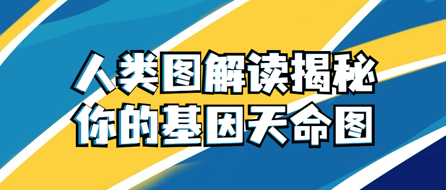 解锁你的基因密码,探秘人类天赋的神秘密码 - 格调资源网