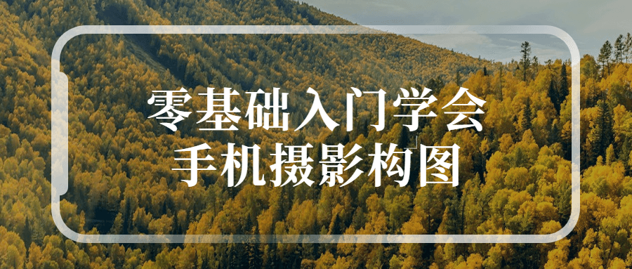 入门手机摄影构图指南,零基础也能轻松拍出惊艳照片 - 格调资源网