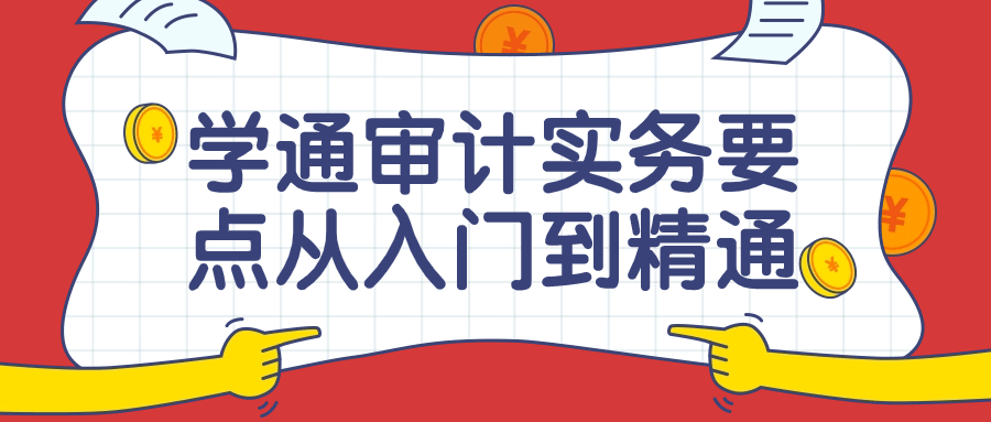 学习审计实务,从入门到精通，一步到位！ - 格调资源网