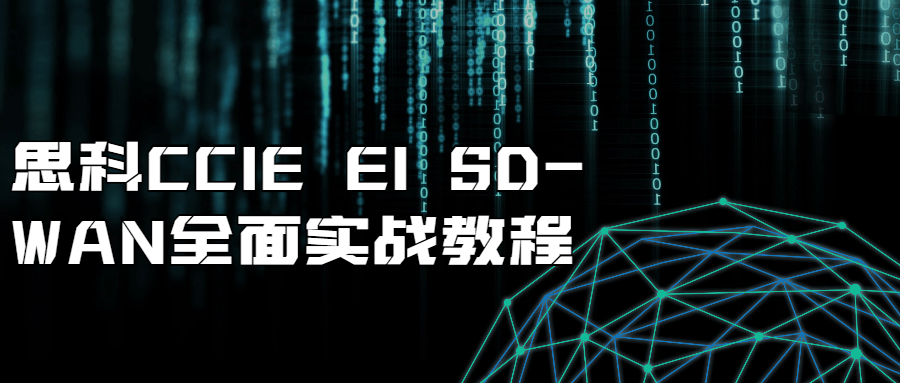 思科CCIE EI SD-WAN深度实战指南 - 格调资源网