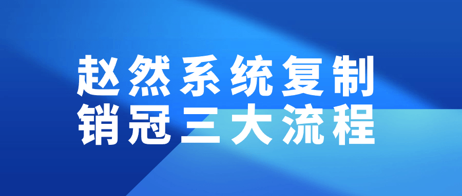 赵然系统成功销售冠军的三大关键步骤 - 格调资源网