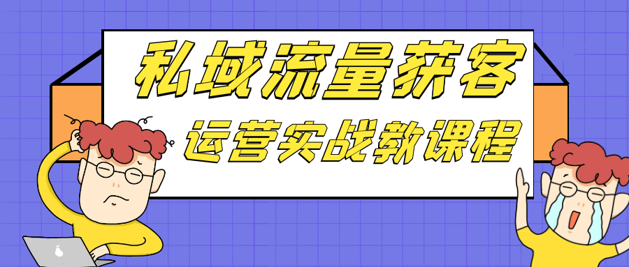 私域流量玩转实战,获客运营高效秘籍 - 格调资源网