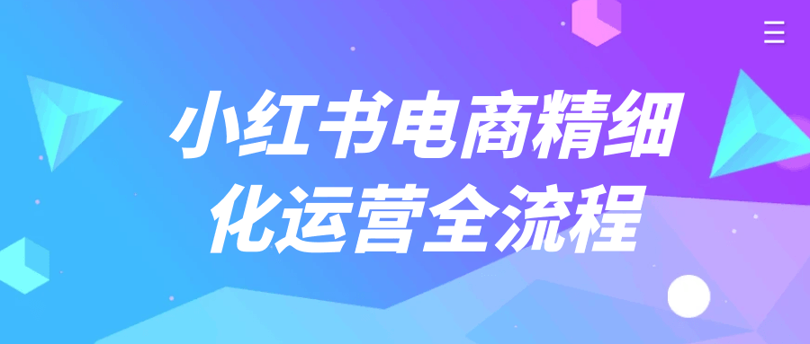 小红书电商精细化运营全流程,深度剖析、精准描绘 - 格调资源网